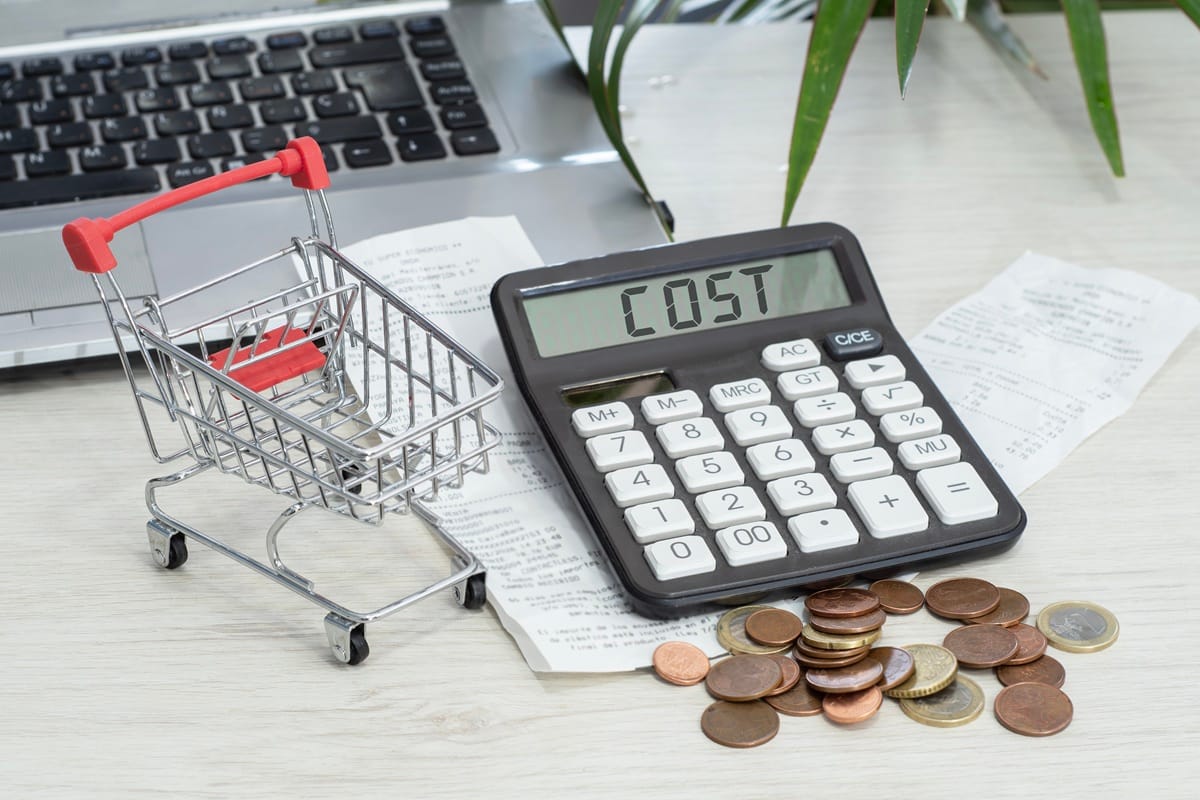 Ecommerce Cost Optimization: Save Money While Growing Revenue